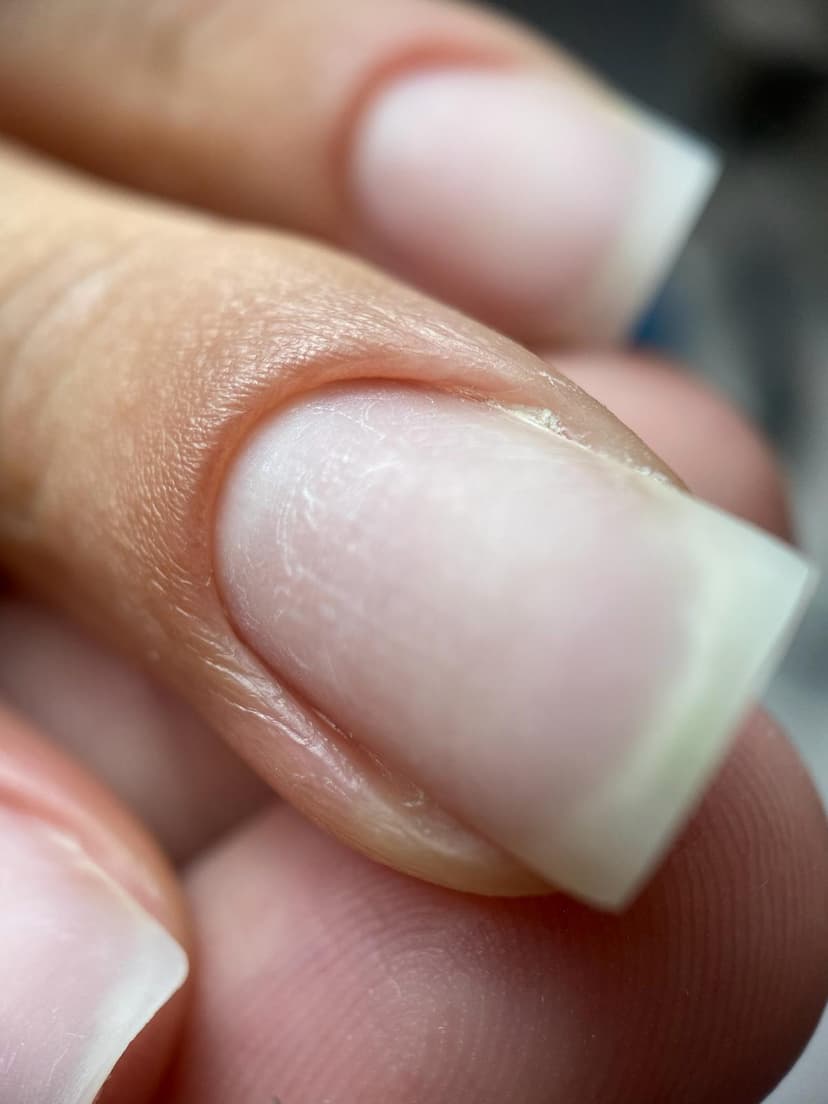 Resultado subida de cualificación 5